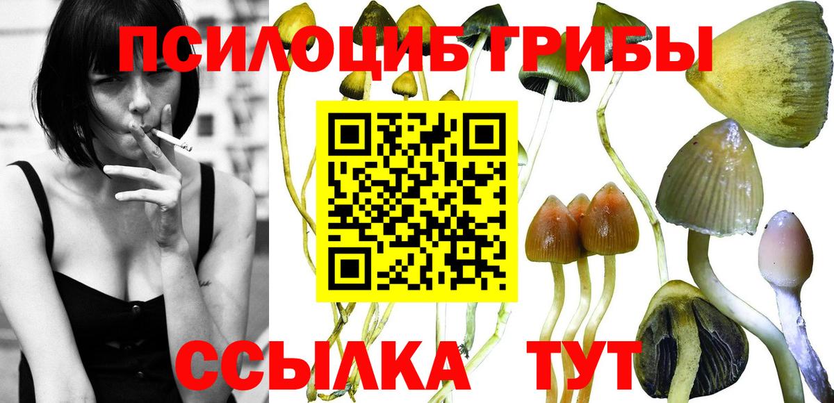 Алексеевка  Галлюциногенные грибы Psilocybine cubensis  Вход с VPN 