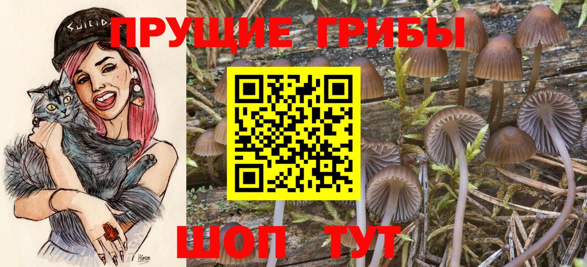 Псилоцибиновые грибы мухоморы Алексеевка