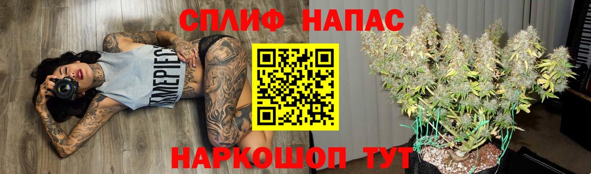 Конопля гибрид Алексеевка